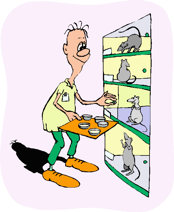 Coloured cartoon of man in lab. coat holding a tray of food, watched eagerly by 4 rats in tiered cages